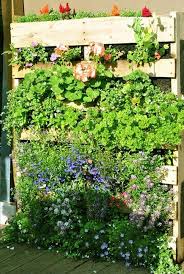 44 Brilliantes Idees Diy Comment Creer Un Mur Vegetal En Palette Pour Votre Maison Diy Jardin Zenidees En 2020 Mur Vegetal Palette Palette Jardin Jardins