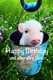 Geburtstag Geburtstag Bilder Lustig Whatsapp Bilder Geburtstag Spruche Zum Geburtstag