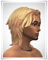 There is not currently (2021) anybody's hair in sims 4. Men Hair Birksche S Simsblog