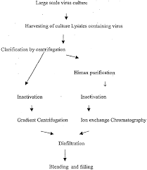 Ep1699811b1 A Process For The Preparation And Purification