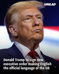 Adrian Mic (@micadrian) • Instagram photos and videos