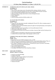 Social media resume examples—summary paragraphs. Creative Media Resume Samples Velvet Jobs