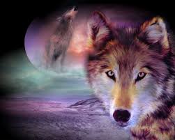Image result for cool wolf art