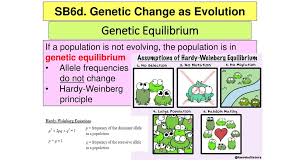 Workbook answer key student's book answer key grammar reference answer key click on a link below to download a folder containing all of the answer keys for your level of life. Sb6d Genetic Change As Evolution Ppt Download