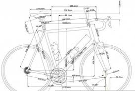 Standard Or Relaxed Road Bicycle Geometry Bicicletta