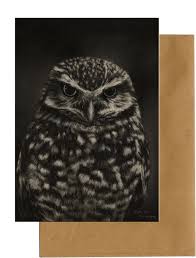 Ma 9 mrt 2020, 10:00. Realistische Tekening Postkaarten Vogels Zwarte Mees Ijsvogel Oehoe Raaf Roodborstje Sneeuwuil Steenuil Witoog Aratinga Ibis Geprint Op Duurzaam Papier 9 Wenskaarten 8720165282104 016528210x Vindboek