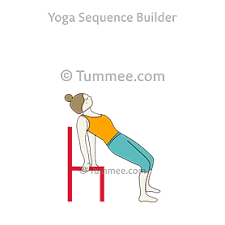Which of the following best describes the role of ca2+ in muscle contraction? Supported Chair Camel Pose Yoga Salamba Chair Ustrasana Yoga Sequences Benefits Variations And Sanskrit Pronunciation Tummee Com