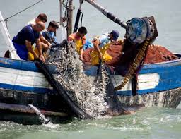 نتیجه جستجوی لغت [discards] در گوگل