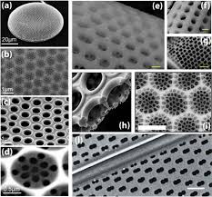 Maybe you would like to learn more about one of these? Frontiers Of Light Manipulation In Natural Metallic And Dielectric Nanostructures Springerlink