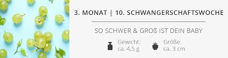 Größe und gewicht 15+3 schwangerschaftswoche. 10 Ssw Schwangerschaftswoche Das Erlebst Du In Der 10 Schwangerschaftswoche