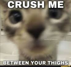 CRUSH ME BETWEEN YOUR THIGHS - iFunny