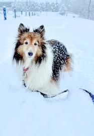 Paula Toti Local 12 News added...