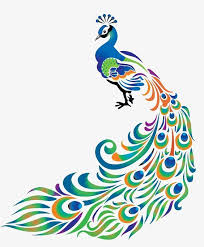 Image result for drawing peacock