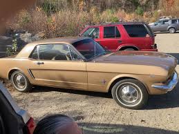 Image result for Prairie Bronze 1965 Mustang
