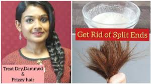 Technically anytime you use a hair dryer to dry your hair, it's referred to as blow drying, but there are a number of distinctions. How To Get Rid Of Split Ends Treat Dry Damaged Frizzy Hair Effective Home Remedy Disha Youtube