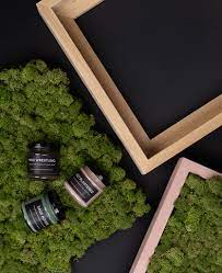 These rustic wood and sphaghnum moss pieces of 'furniture' are made by a california artist! Living Wall Diy Framed Moss Artwork Kit With 12 Paint Colours