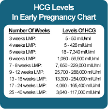 Pregnancy Hcg Levels Chart Related Keywords Suggestions