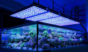 7 Best 36 Inch Led Lights For 30 50 Gallon Fish Tank Aquarium