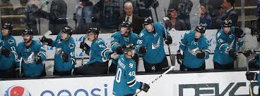 Sharks Organization Finding Success At All Levels San Jose