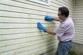 Vinyl is a great siding material because it lasts a long time and requires very little maintenance. 6 Tips For Cleaning Vinyl Siding
