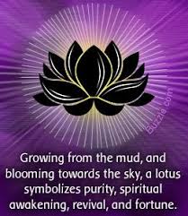 See more ideas about buddha, buddha lotus, buddhism. Lotus Outline Lotus Flower Meaning Lotus Meaning Lotus Flower Tattoo