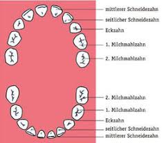 Kinderzahne Furini Lorenz Zahnarzt Dentista Gais