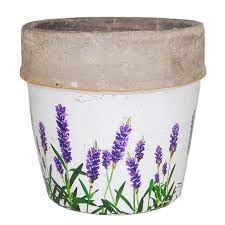 Have To Have It 100 Essentials Lavender Flower Pot 32 99 Hayneedle Com Large Flower Pots Flower Pots Potted Lavender