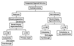Sigmoid Volvulus In Children And Adolescents Sciencedirect