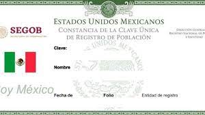 Como Consultar La Curp Por Internet Facil Rapido Y Gratis Lo Trending