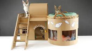 Giant Maze Labyrinth For Cat Kittens Can They Exit Youtube