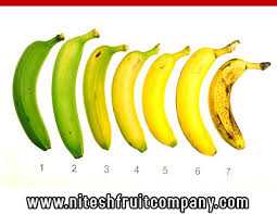 Banana Cold Storage In Ludhiana Punjab Fruits Banana