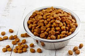 A partire dal tonno, alimento prezioso ricco di proprietà nutritive e principi benefici. 10 Motivi Per Cui Il Cibo Secco Fa Male A Cani E Gatti Secondo Gli Esperti