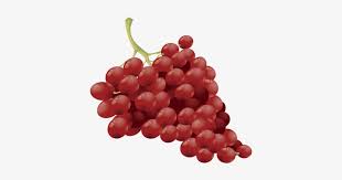 Racimo De Uvas Vector Free Transparent Png Download Pngkey Imagenes transparentes png, graficos o archivos psd. racimo de uvas vector free