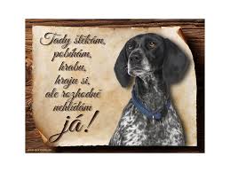 Image result for auvergneský ohař