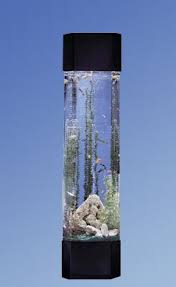 Tucker Murphy Pet Alan 30 Gallon Tower Pentagon Alanrium Kit Wayfair In 2020 Aquariums For Sale Aquarium Fish Tank
