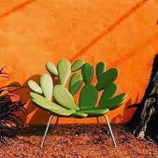 We all had a good laugh at the christmas party about that one. 39 Cactus Ideas Cactus Door Mat Diy Opuntia Cactus