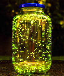 نتیجه جستجوی لغت [fireflies] در گوگل
