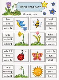 Sechs Klammerkarten Zum Thema Easter And Spring Zum Fruhlingshaften Englischthema Kommen Auch Dieses Englisch Grundschule Englisch Lernen Englisch Nachhilfe