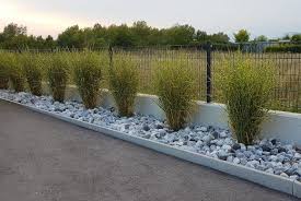 Allgemein Whitecube Wiener Neustadt Garten Garten Zaun Ideen Garten Gestalten