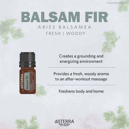 doTERRA - ✨doTERRA Balsam Fir 5 mL✨ The limited-edition essential oil, Balsam  Fir🌲, is our Product of the Month for November 2020! What makes Balsam Fir  essential oil so unique? 🤔 Balsam