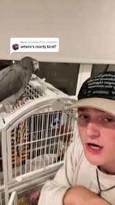 Tara Lynn Petting Parrot