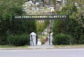 It was his 14th novel, and the tenth novel under his own name. Pet Cemetery Wikipedia