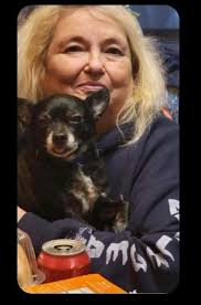 Loui has been gone for 5 days 204th farmington. $100.00 if found…. Thank  you!!!!!