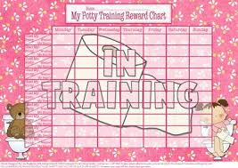 Toilets And Teddies Girls Potty Training Reward Chart