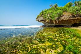 Pantai Krakal Surga Tersembunyi Di Gunungkidul Yogyakarta