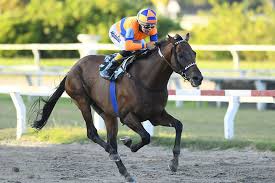 Image result for Handic 62