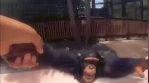 Music Monk Porn GIFs | Pornhub