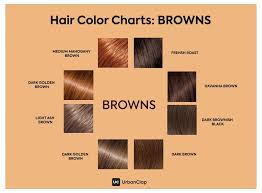 28 Albums Of Brown Skin Hair Color Chart Skin Tone