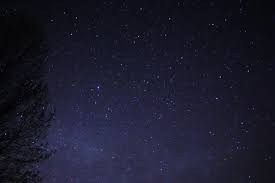 File:Night Sky Stars Trees 03.jpg - Wikimedia Commons