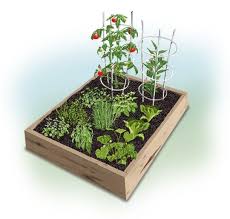 Small 4x4 Garden Vegetable Garden Planning Vegetable Garden Planner Raised Garden